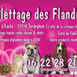 Garde d'animaux et Refuge Toilettage Des Flandres - 1 - 