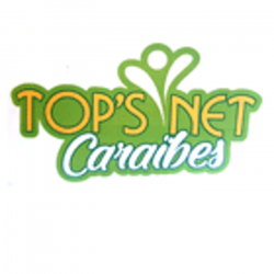 Dépannage Top's Net Caraibes - 1 - 