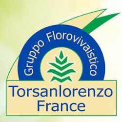 Jardinage Torsanlorenzo France - 1 - 