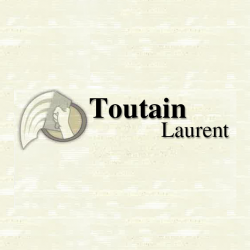 Constructeur Toutain Laurent - 1 - 