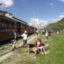 Train Du Mont Blanc Saint Gervais Les Bains
