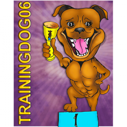 Cours et formations TRAINING DOG - 1 - 