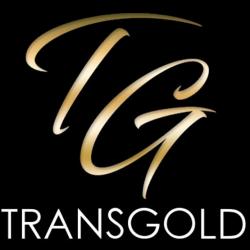 Taxi TRANSGOLD - 1 - Transgold Agence De Chauffeur Prive En Lorraine - 