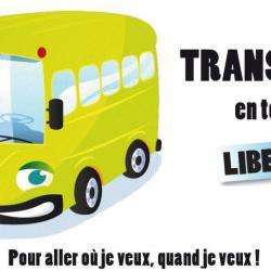 Transport à Mobilité Reduite Haut-rhin Mulhouse