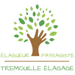 Tremouille Elagage Saint Geniès
