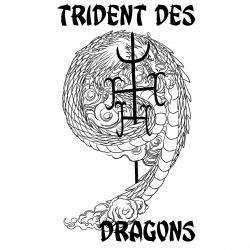 Arts Martiaux Trident des 9 Dragons - 1 - Logo Du L'école - 