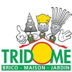 Magasin de bricolage Tridôme - 1 - Logo - 
