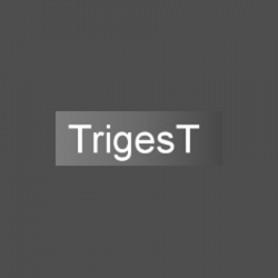 Agence immobilière TrigesT - 1 - 