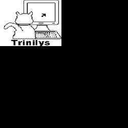 Cours et dépannage informatique Trinilys:Dépannage à domicile 54 - 1 - 