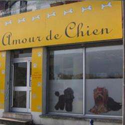 Salon de toilettage un amour de chien - 1 - Crédit Photo : Site Internet Un Amour De Chien - 