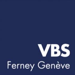 Vbs Ferney Geneve - Voltaire Business School Ferney Voltaire