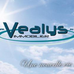 Agence immobilière Vealys - 1 - 