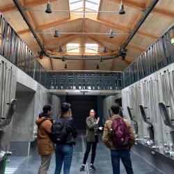 Agence de voyage Vert Bordeaux : wine tours & guided tours - 1 - 