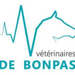Vétérinaire Vétérinaires De Bonpas - 1 - 