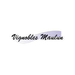 Centres commerciaux et grands magasins Vignobles MAULUN - 1 - 