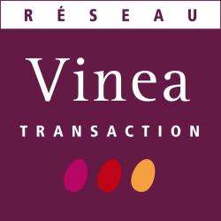 Agence immobilière Vinea Transaction - 1 - Logo Agence Vinea Transaction - 