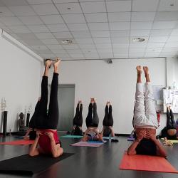 Vinyasa Yoga Studio Cannes