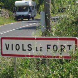 Viols Le Fort Viols Le Fort