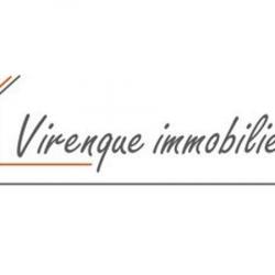 Agence immobilière Virenque Immobilier - 1 - 