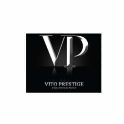 Vito Prestige Chauffeur Prive Maligny