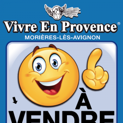 Agence immobilière Vivre En Provence - 1 - 