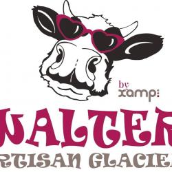 Glacier Walter Glacier - 1 - 