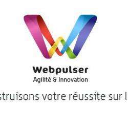 Commerce Informatique et télécom Webpulser - 1 - Agence Web Ecommerce Webpulser - 