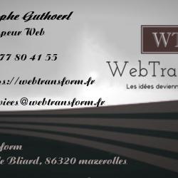 Commerce Informatique et télécom Webtransform - 1 - Carte De Visite - 