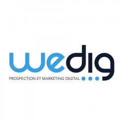 Commerce Informatique et télécom Wedig Nantes Agence Webmarketing Digitale - 1 - 