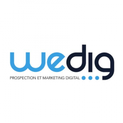 Commerce Informatique et télécom Wedig Paris Agence Webmarketing Digitale - 1 - 