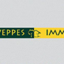 Weppes Immo Santes
