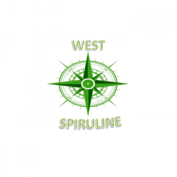 Poissonnerie West Spiruline - 1 - 