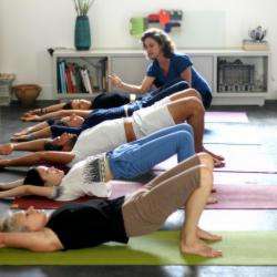 Yoga Yoga Terra - 1 - Cours De Yoga Au 35 Rue Du Progrès, à Montreuil - 