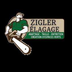 Jardinage Zigler Vergel David - 1 - 