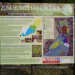 Site touristique Zone humide des RINCEAUX - 1 - 