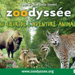 Parc animalier ZOODYSSéE - 1 - 