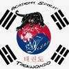 Academy Spirit Y.s.a.p Taekwondo Toulon