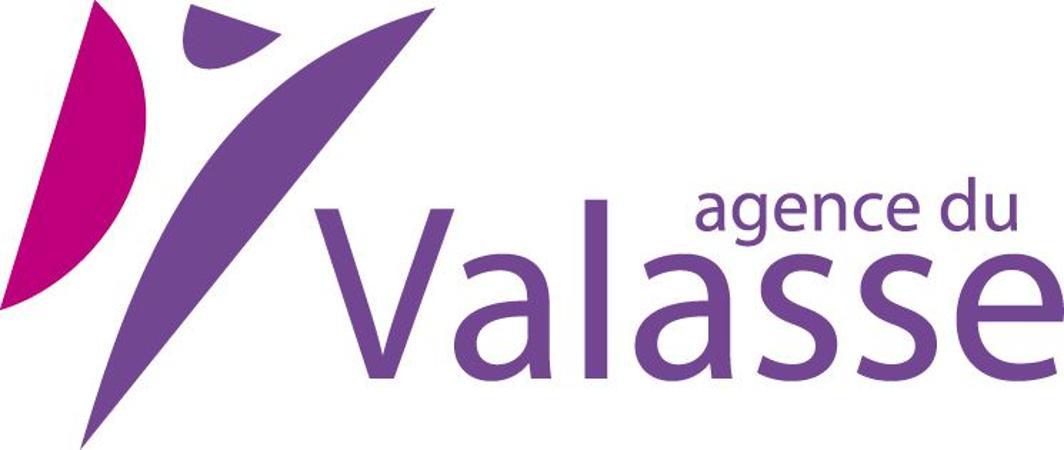 Agence Du Valasse Gruchet Le Valasse