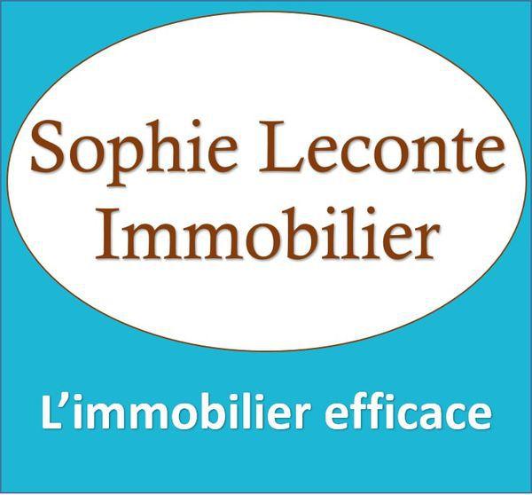Agence Sophie Leconte Immobilier Vélizy Villacoublay