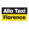 Allo Taxi Florence Casteljaloux