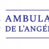 Ambulance De L'angélique Niort