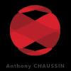 Anthony Chaussin Entrelacs