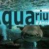 Aquarium Imperator Amnéville