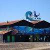 Aquarium Sealand Noirmoutier En L'ile