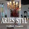 Aries Coiffure Valence