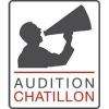 Audition Châtillon Châtillon Sur Chalaronne