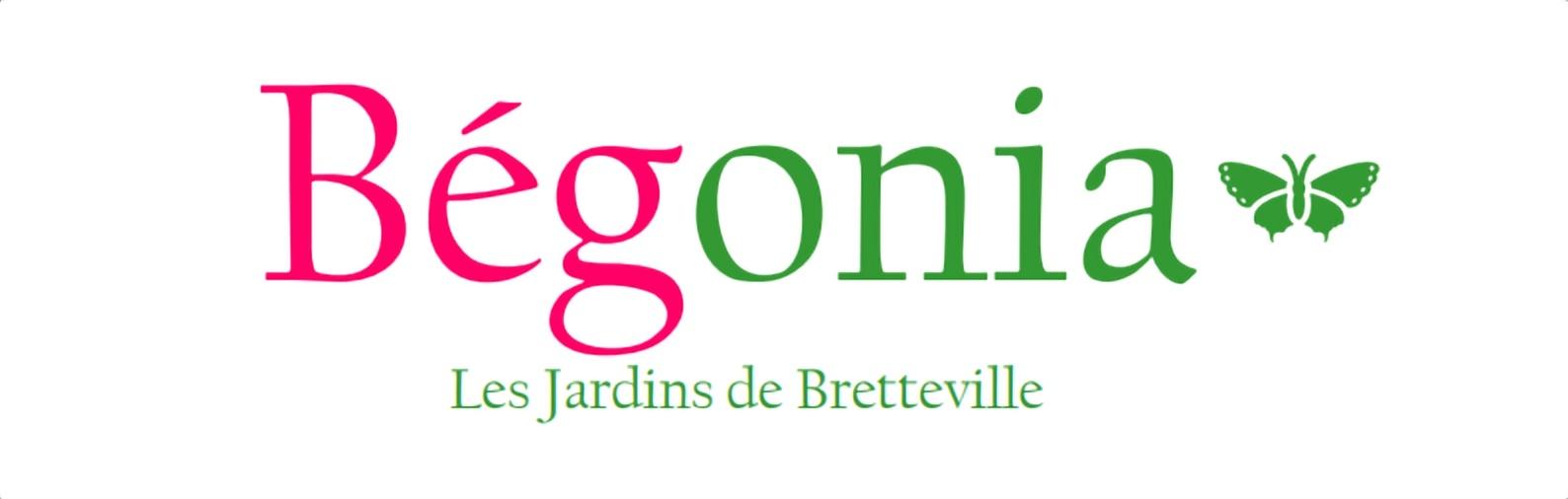 Bégonia - Les Jardins De Bretteville Thue Et Mue