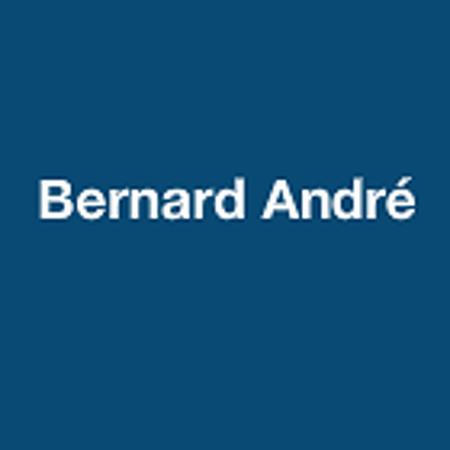Bernard André Brizambourg