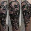 Skull Micro Par Stephane Bueno Tatoueur Studio Black Corner Tattoo Valence
