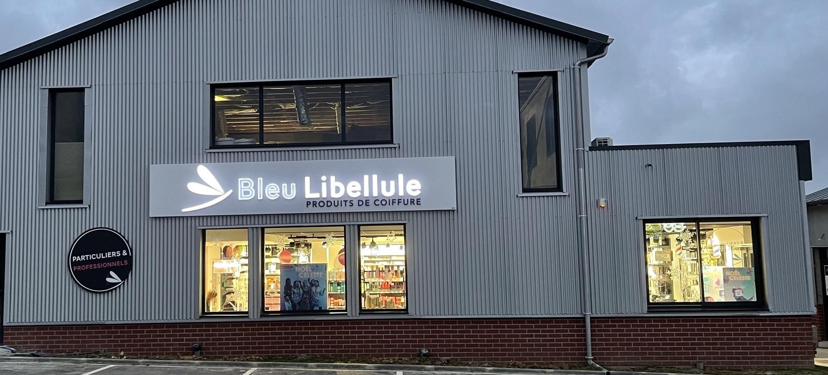 Bleu Libellule Dieppe Saint Aubin Sur Scie